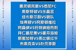雷速体育-热刺逆转莱斯特城，狼队客战不敌南安普顿的简单介绍