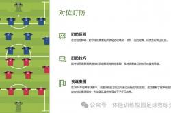 雷速体育官方-关于精妙战术应用，顽强抵抗对手的强力进攻的信息