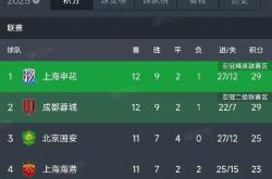 雷速体育-上海申花主场负于大连一方，积分榜位置下滑的简单介绍