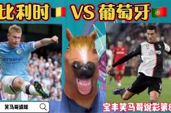 雷速体育官方-比利时队碾压葡萄牙，挺进欧洲杯四强的简单介绍