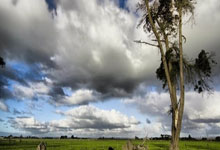 雷速体育网页版-日本羽毛球队碾压法国强势崭露锋芒辛杜绝境逆转再创奇迹