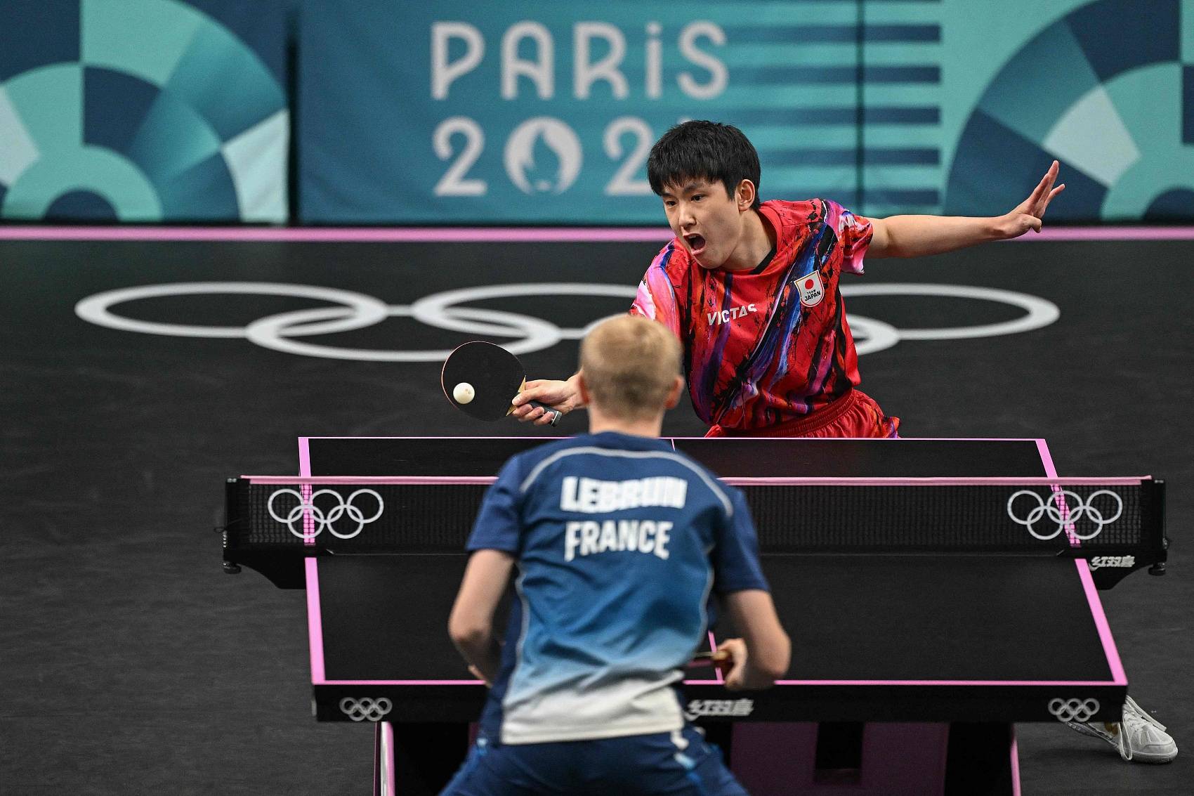 包含法国队险胜韩国队,张本智和扛起全队的词条 包含法国队险胜韩国队,张本智和扛起全队的词条